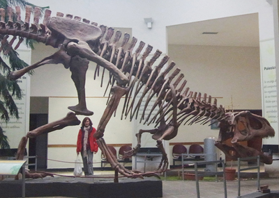 Worlds Largest Dinosaur 8 robin linhope willson, CAPat-Mef 